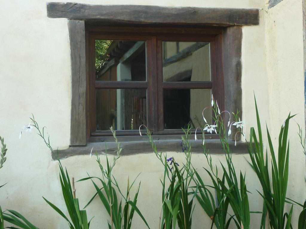 Apikale Guest House Ea Luaran gambar